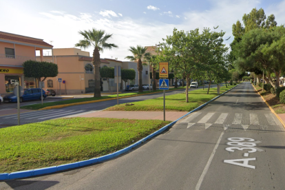 Avenida del Oasis, en El Ejido, donde fue atropellado mortalmente un hombre de 79 años.