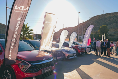 Algunos de los coches disponibles al público en el 2024.