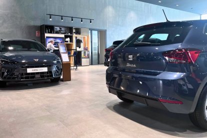 Concesionario Navarro Segura, Vera.