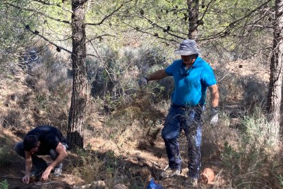 Imagen de la bellotada del año pasado en la Sierra de Gádor