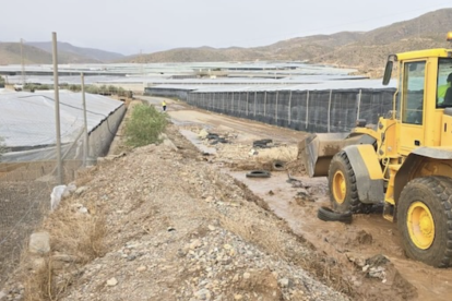 La Junta activa 33,5 millones para rescatar al campo andaluz tras los desastres.