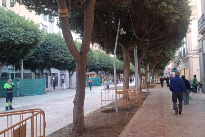 Imagen de las luminarias que se han colocado en el Paseo de Almería