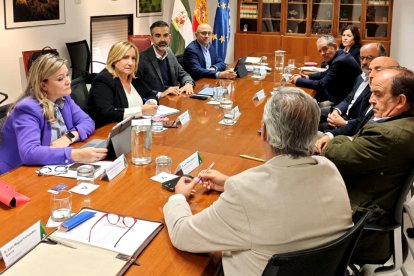 La Junta crea una mesa de trabajo con FEPEX para reforzar la defensa del sector hortofrutícola