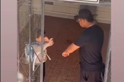 El menor protegiéndose cuando el hombre presuntamente detenido le ofrece la mano.