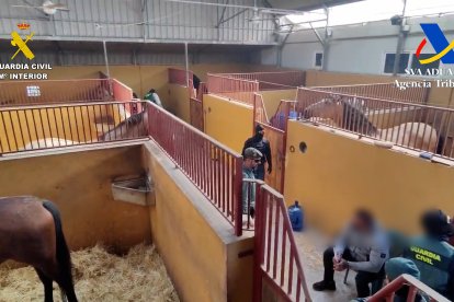 Los agentes han intervenido Tres explotaciones agrícolas, dos fincas de recreo, una nave industrial, una villa  de lujo,12 fincas urbanas y  agrícolas entre otras.