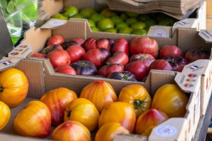 La técnica, testada también en tomates, consume 5 menos cantidad de disolventes que otros métodos.