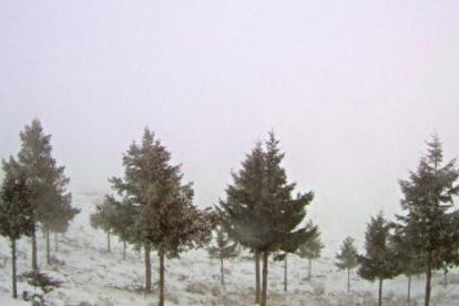 Las inmediaciones de Calar Alto, cubiertas de nieve en la tarde de este lunes.