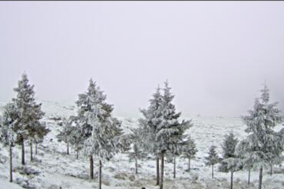 Imagen captada este martes por las cámaras del Observatorio de Calar Alto