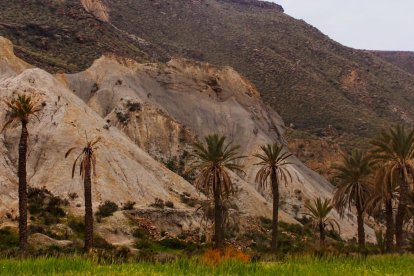 El Desierto de Tabernas es una de las zonas más buscadas para hacer una ruta de senderismo en Almería.