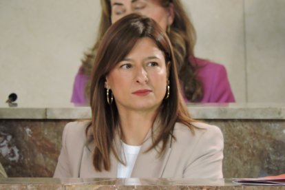 Fátima Herrera, portavoz del Grupo Municipal Socialista