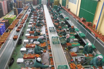 Almacén de manipulado hortofrutícola.