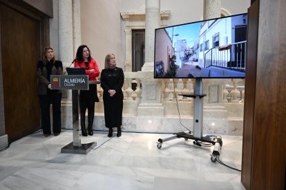 Presentación del plan en el Ayuntamiento de la capital