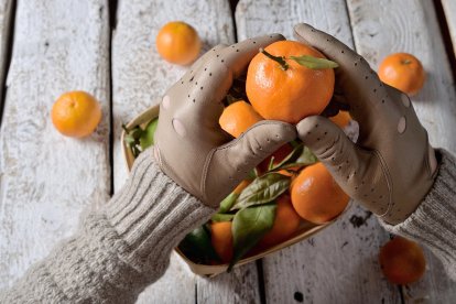 La agricultura forma parte de la identidad de Almería y queremos que los almerienses, especialmente los más jóvenes, conozcan de dónde venimos para saber a dónde vamos.