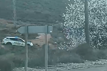 Accidente en la carreera que conecta las localidades de Dalías y de Berja.