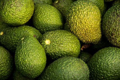 Grupo La Caña consolida su liderazgo en 2025 y refuerza su apuesta por la innovación, el relevo generacional y la sostenibilidad