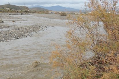 Así baja este miércoles el Andarax a su paso por Rioja y Pechina.