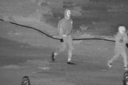 La Guardia Civil ha detenido a dos personas.