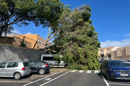 Calle Pedro Sarmiento en La Molineta.