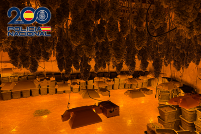 Imagen facilitada por Policía Nacional.