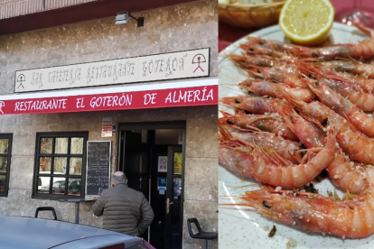 El Goterón de Almería, el bar que triunfa en Madrid.