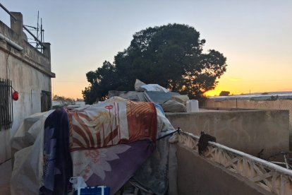 Imagen de uno de los asentamientos chabolistas que han sido desalojados en Níjar.