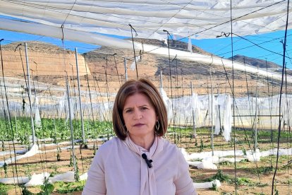 La organización agraria continúa realizando un balance exhaustivo de los daños que los sucesivos temporales de los últimos meses han ocasionado en el sector agrario de la provincia.