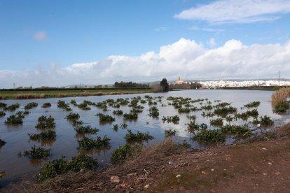 Imagen de inundaciones en Cantillana (Sevilla)