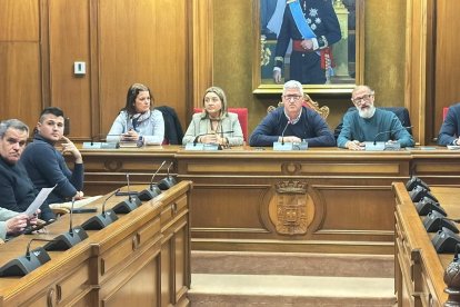 Junta General del Consorcio del Sector II.