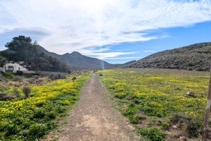 La explosión de colores de la que se puede disfrutar en Níjar durante estos meses.