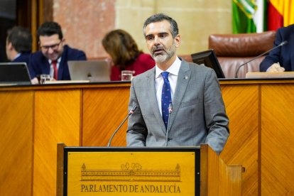 El consejero de Agricultura, Pesca, Agua y Desarrollo Rural, Ramón Fernández- Pacheco en el Parlamento de Andalucía