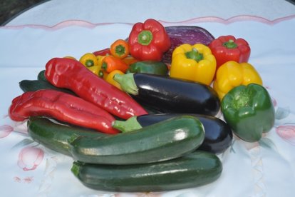 La ONU reconoce el 4 de marzo como Día Internacional de las frutas y hortalizas para promover dietas saludables