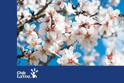 Consulta la programación completa de la actividad aquí.