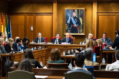 Imagen del pleno en la Diputación Provincial de Almería.