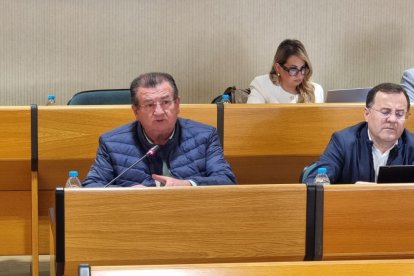 Imagen del pleno en El Ejido.