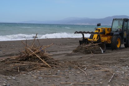 Imagen de la limpieza de playas en El Ejido.