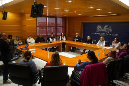 Mesa de trabajo del Plan Estratégico de Comercio en El Ejido.