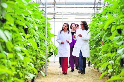 La reina Letizia, durante su visita.