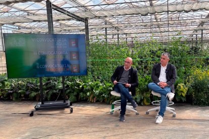 Convocatoria Cajamar Innova.