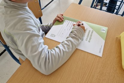 Un estudiante realiza la prueba de evaluación de diagnóstico.
