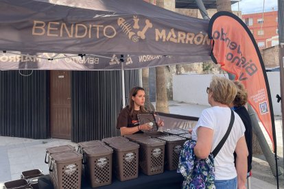 Adra retoma la campaña 'Bendito Marrón' para seguir impulsando la recogida selectiva de biorresiduos.