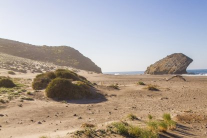DIPUTACIÓN DE ALMERÍA - Archivo