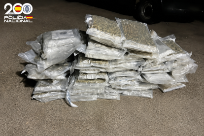 Marihuana encontrada en el interior de la furgoneta en la que viajaban tres vecinos de Almería y de Murcia.
