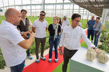 El alcalde de El Ejido, Francisco Góngora, junto al concejal de Agricultura, Manuel Martínez, y los ediles José Francisco Rivera, Julia Ibáñez y David Fernández, han visitado estas instalaciones
