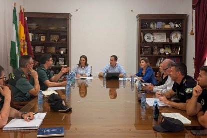 Reunión de la Junta Local de Seguridad de Vera.