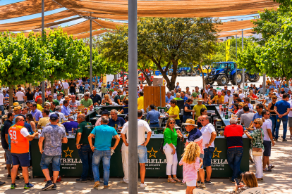 El gran ambiente que se vive en la Agroferia de Vélez-Rubio.