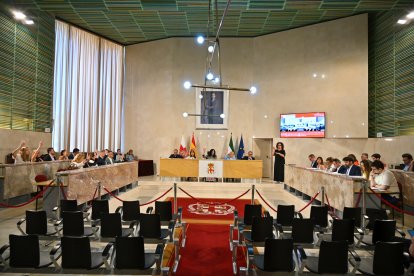 Imagen del Pleno de este viernes en el Ayuntamiento de Almería.