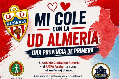 Espectacular iniciativa del Colegio Ciudad de Almería y el AMPA Azahar.