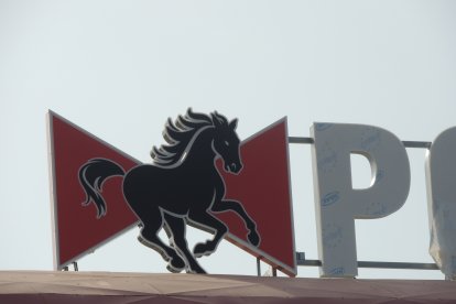 El caballo estuvo inamovible las dos temporadas del Almería en Primera.