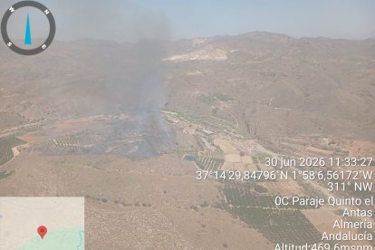 Vista aérea del incendio en el paraje Fuente El Quinto, en Antas.