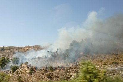 Incendio forestal en Los Gallardos.